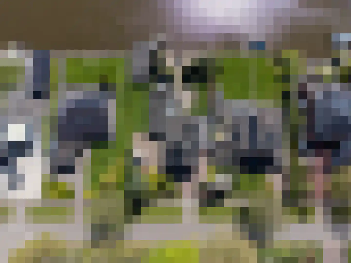Meerweg 9 Kropswolde thumbnail 82