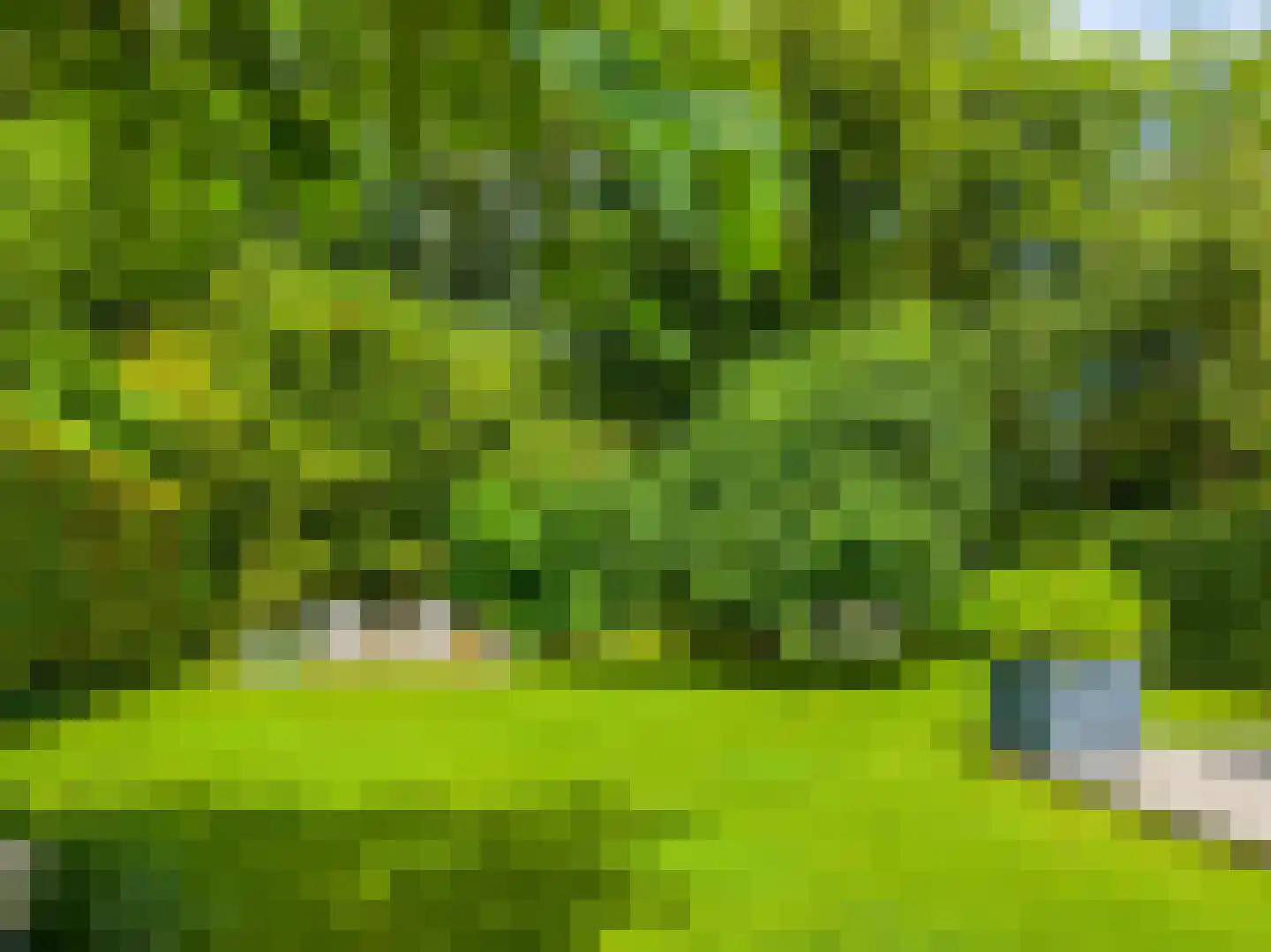 Meerweg 97 Haren Gn thumbnail 21