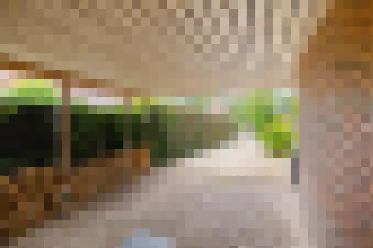 Meerweg 97 Haren Gn thumbnail 41