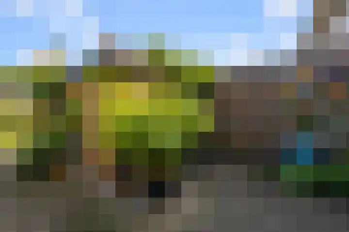 Meerweidenlaan 27 Velsen-Noord thumbnail 17