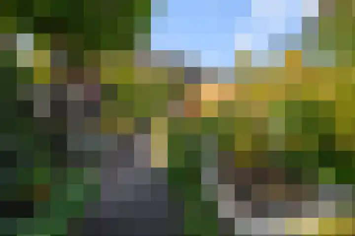 Meerweidenlaan 27 Velsen-Noord thumbnail 18