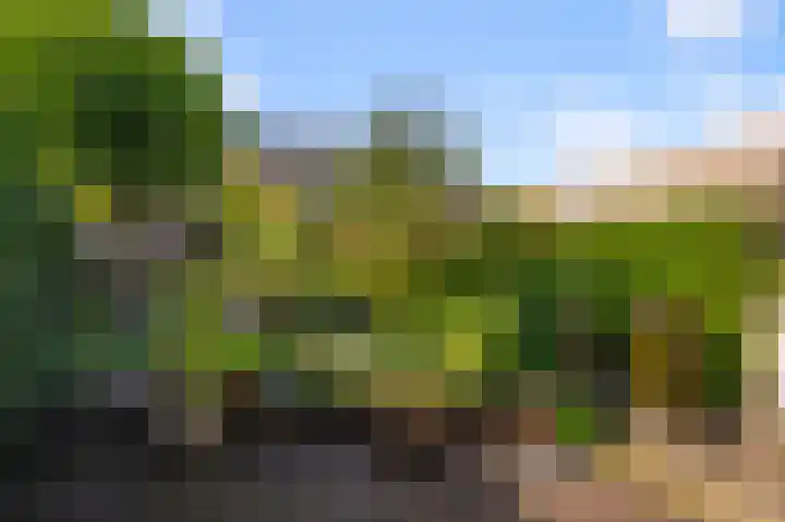 Meerweidenlaan 27 Velsen-Noord thumbnail 19