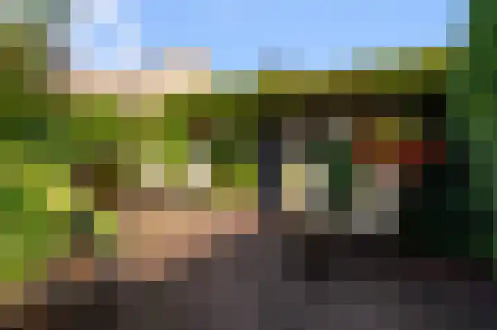 Meerweidenlaan 27 Velsen-Noord thumbnail 20