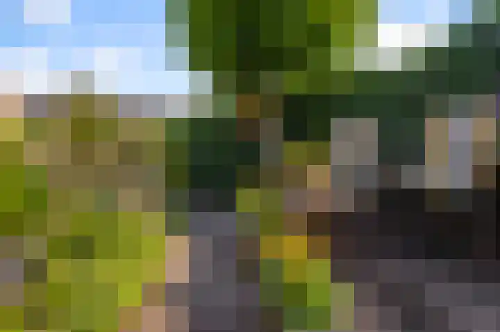 Meerweidenlaan 27 Velsen-Noord thumbnail 21