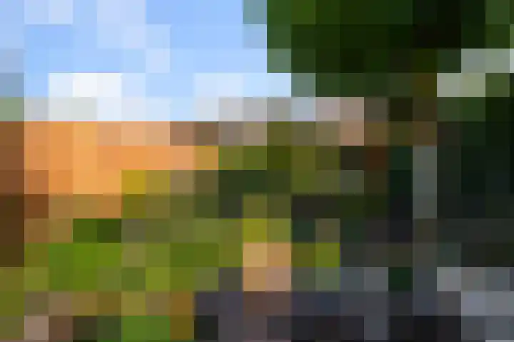 Meerweidenlaan 27 Velsen-Noord thumbnail 22