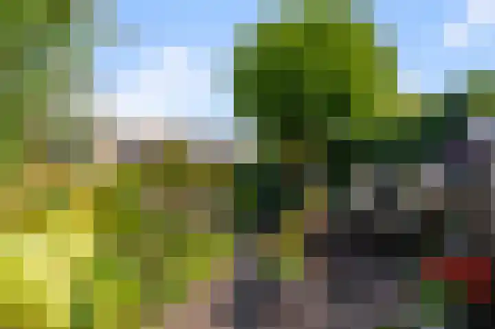 Meerweidenlaan 27 Velsen-Noord thumbnail 23