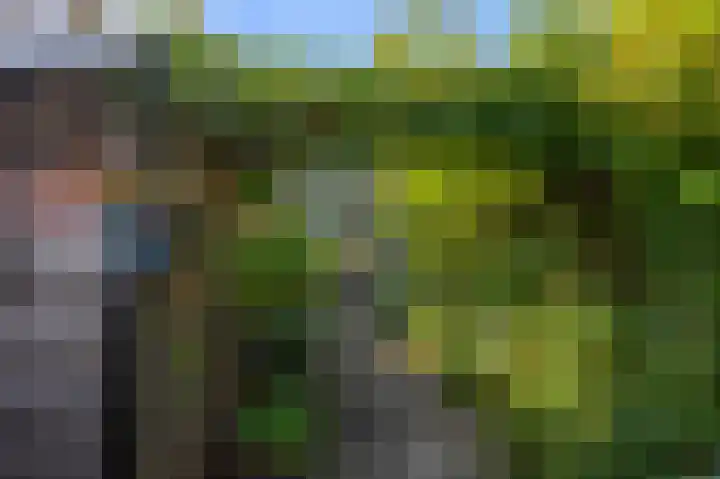 Meerweidenlaan 27 Velsen-Noord thumbnail 24