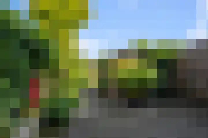 Meerweidenlaan 27 Velsen-Noord thumbnail 25
