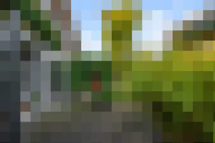 Meerweidenlaan 27 Velsen-Noord thumbnail 26