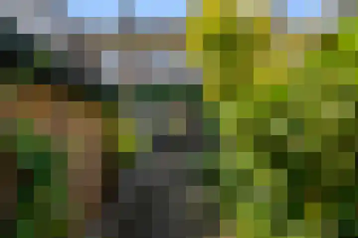 Meerweidenlaan 27 Velsen-Noord thumbnail 27