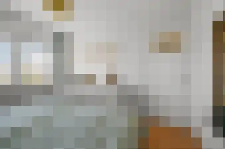 Meerweidenlaan 27 Velsen-Noord thumbnail 37