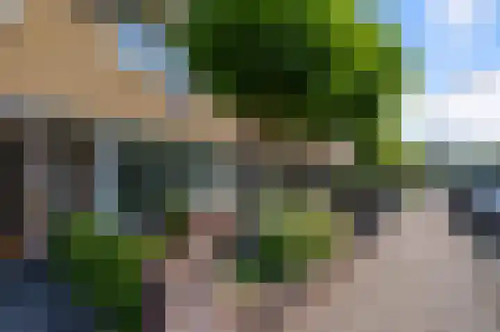 Meerweidenlaan 27 Velsen-Noord thumbnail 46
