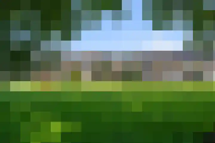 Meerweidenlaan 27 Velsen-Noord thumbnail 48