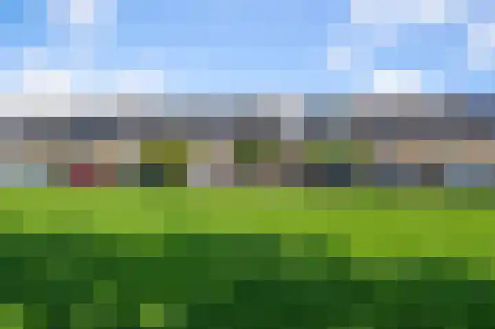Meerweidenlaan 27 Velsen-Noord thumbnail 49