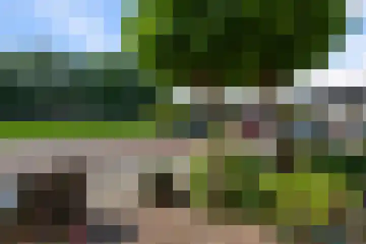 Meerweidenlaan 27 Velsen-Noord thumbnail 50