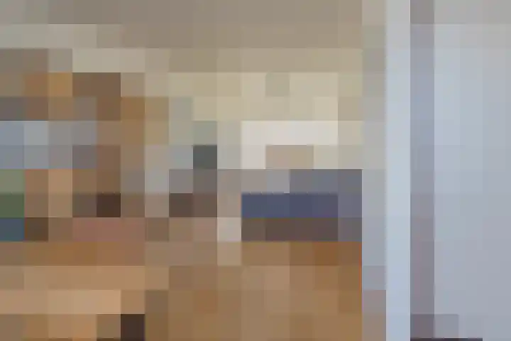 Meerweidenlaan 3 Velsen-Noord thumbnail 12
