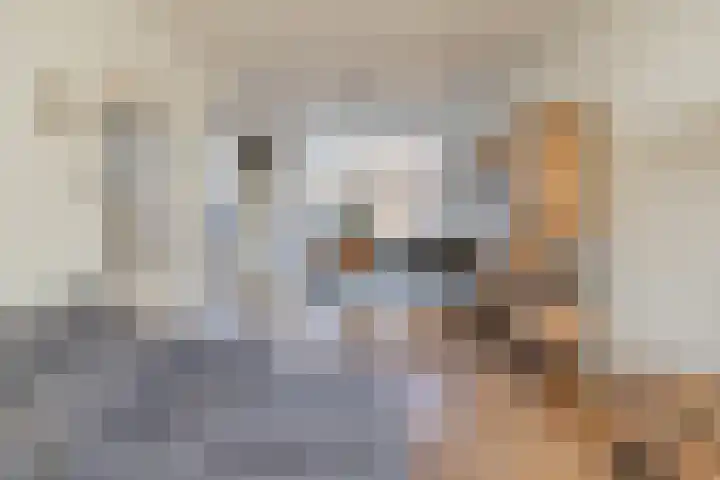 Meerweidenlaan 3 Velsen-Noord thumbnail 17