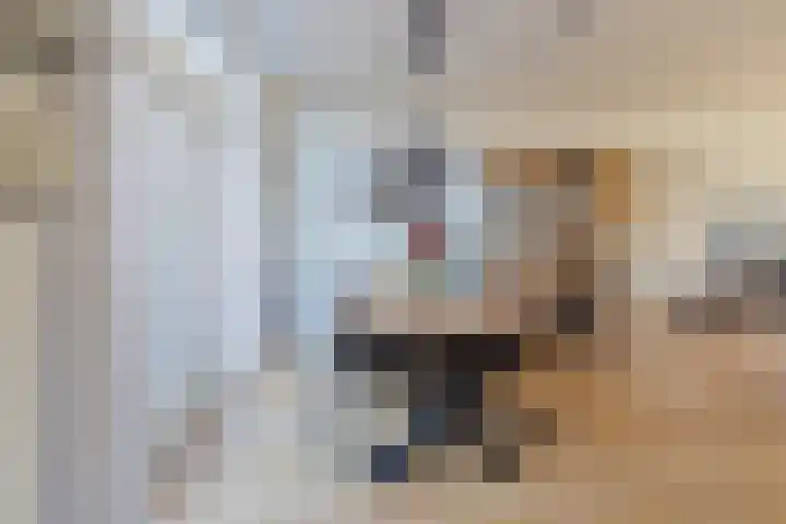Meerweidenlaan 3 Velsen-Noord thumbnail 22