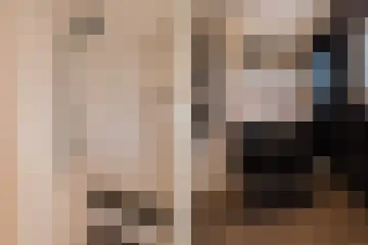 Meerweidenlaan 3 Velsen-Noord thumbnail 26