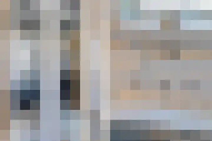 Meerweidenlaan 3 Velsen-Noord thumbnail 30