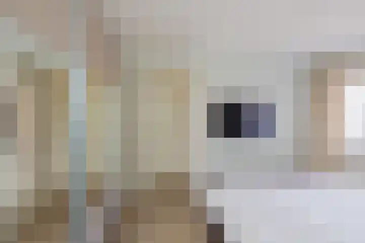 Meerweidenlaan 3 Velsen-Noord thumbnail 34