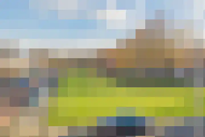 Meerweidenlaan 3 Velsen-Noord thumbnail 54