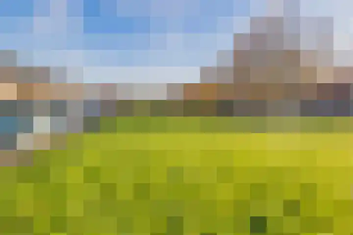 Meerweidenlaan 3 Velsen-Noord thumbnail 6