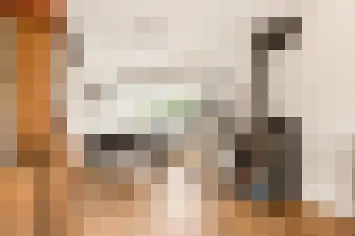 Meerweidenlaan 9 Velsen-Noord thumbnail 18