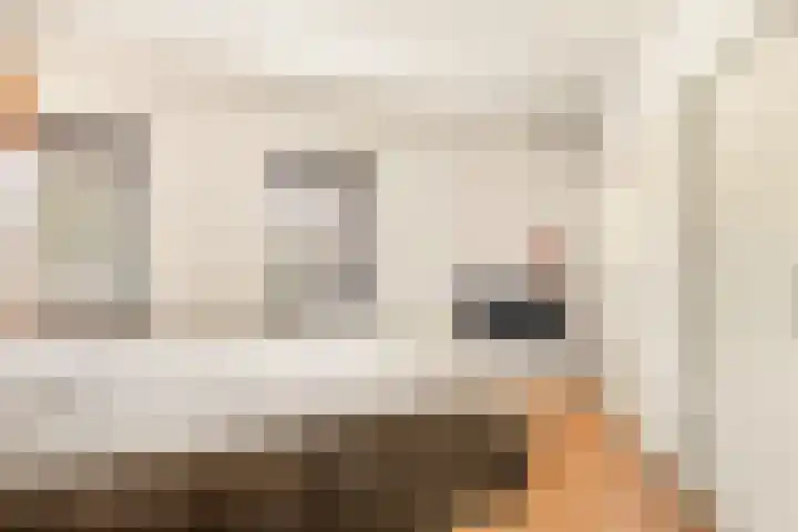 Meerweidenlaan 9 Velsen-Noord thumbnail 29