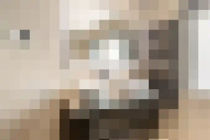 Meerweidenlaan 9 Velsen-Noord thumbnail 38