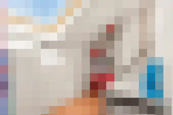 Meerweidenlaan 9 Velsen-Noord thumbnail 42