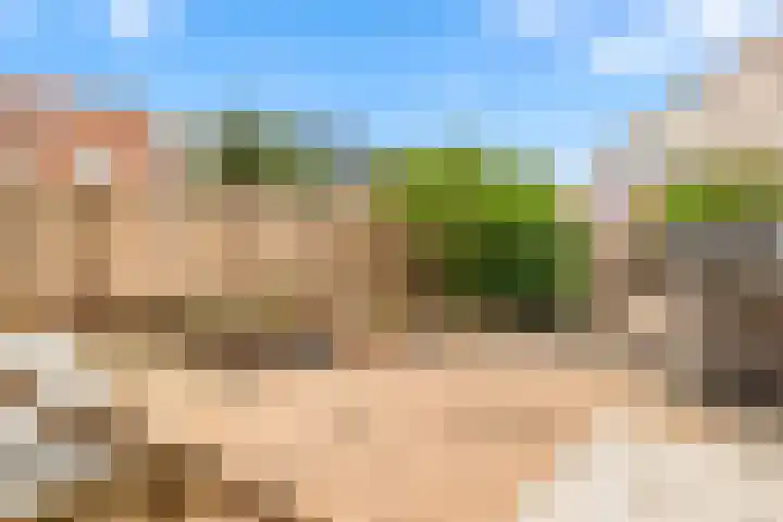Meerweidenlaan 9 Velsen-Noord thumbnail 49