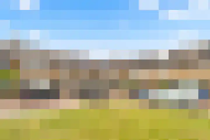 Meerweidenlaan 9 Velsen-Noord thumbnail 5