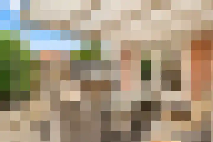 Meerweidenlaan 9 Velsen-Noord thumbnail 51