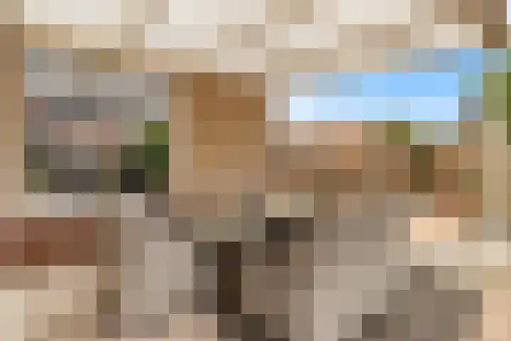 Meerweidenlaan 9 Velsen-Noord thumbnail 52