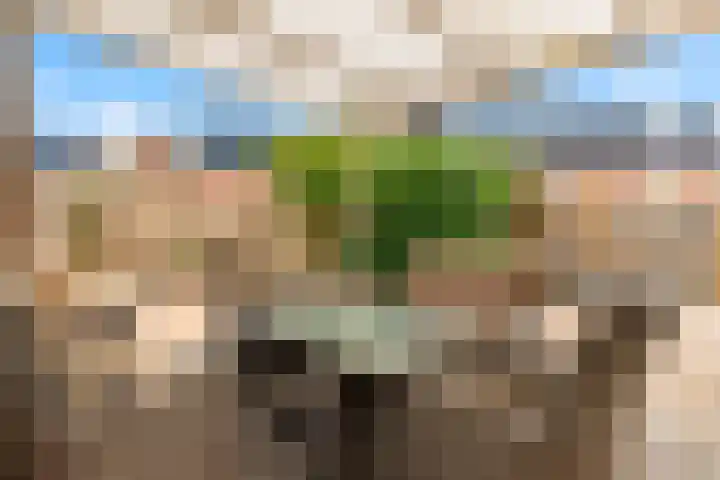 Meerweidenlaan 9 Velsen-Noord thumbnail 54