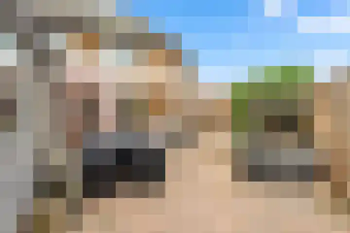 Meerweidenlaan 9 Velsen-Noord thumbnail 56