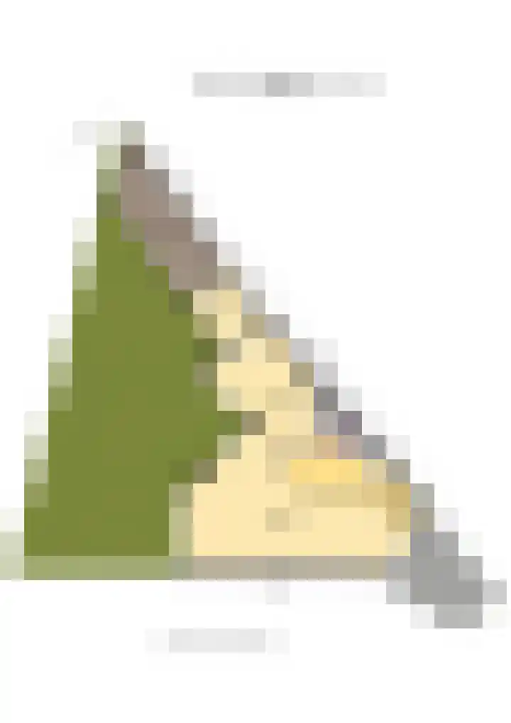 Meerweidenlaan 9 Velsen-Noord thumbnail 60