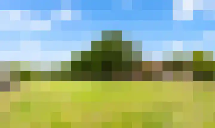 Meerweidenlaan 9 Velsen-Noord thumbnail 8