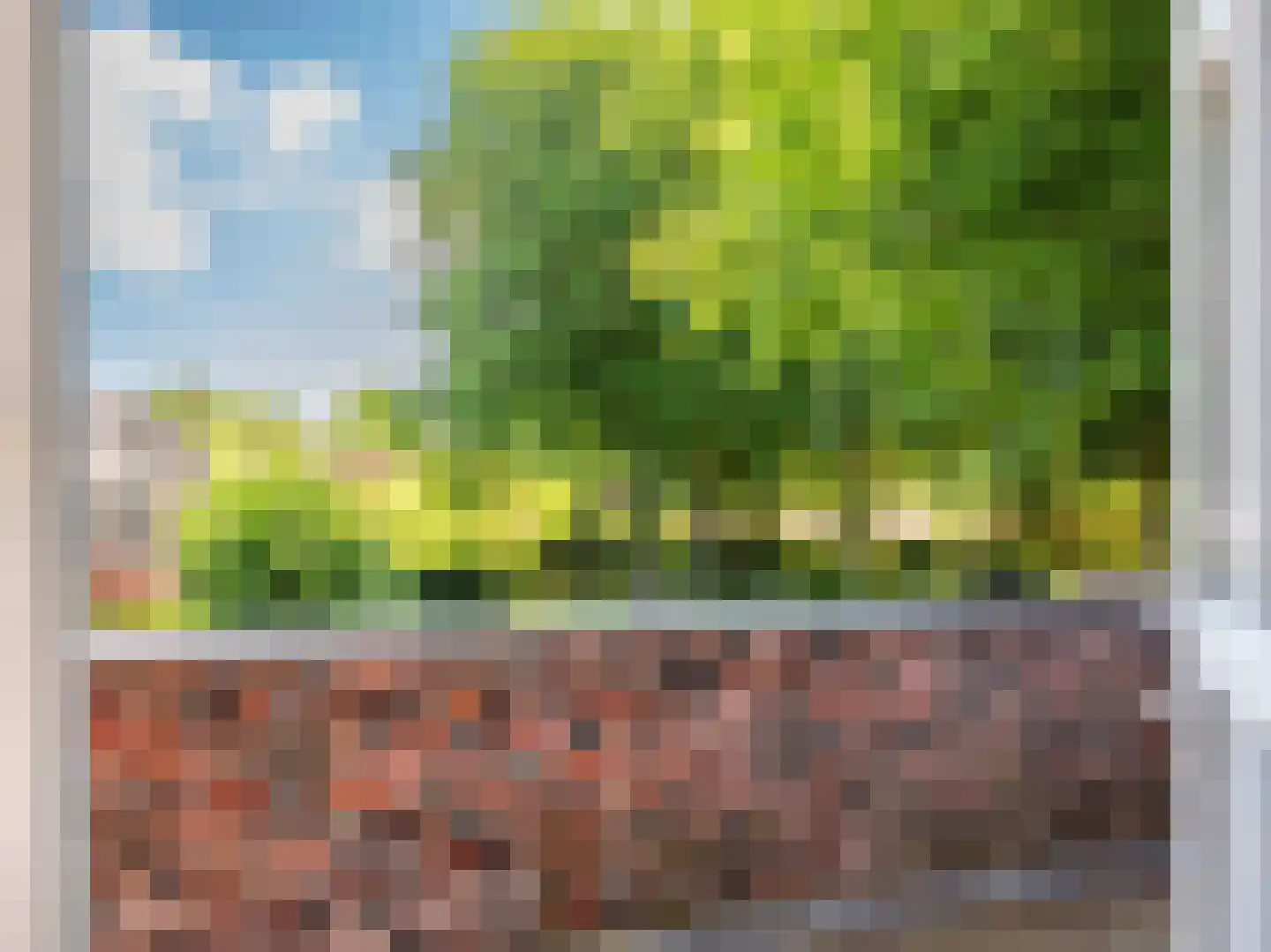 Meerwijklaan 1 Bergen (NH) thumbnail 39