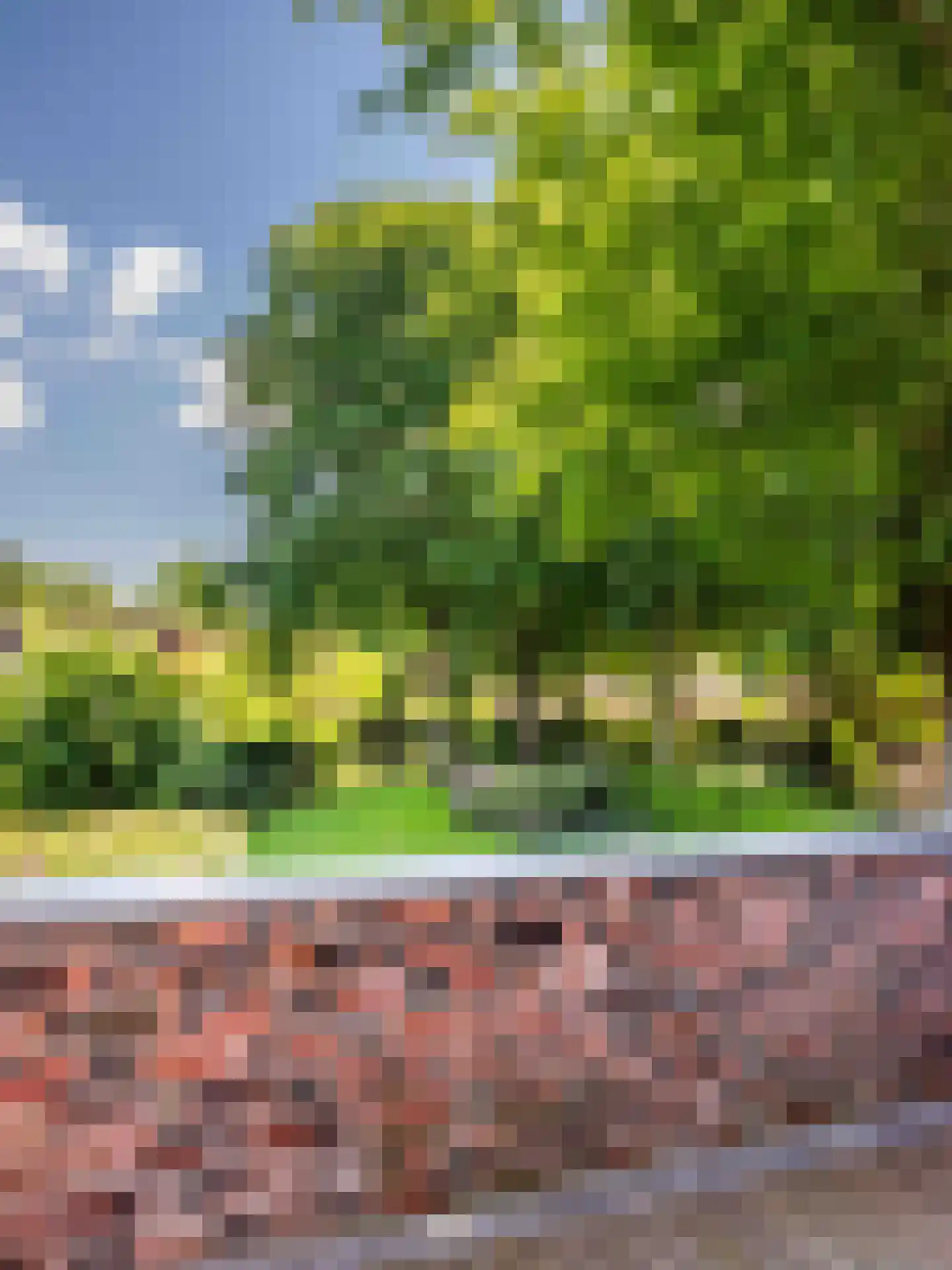 Meerwijklaan 1 Bergen (NH) thumbnail 40