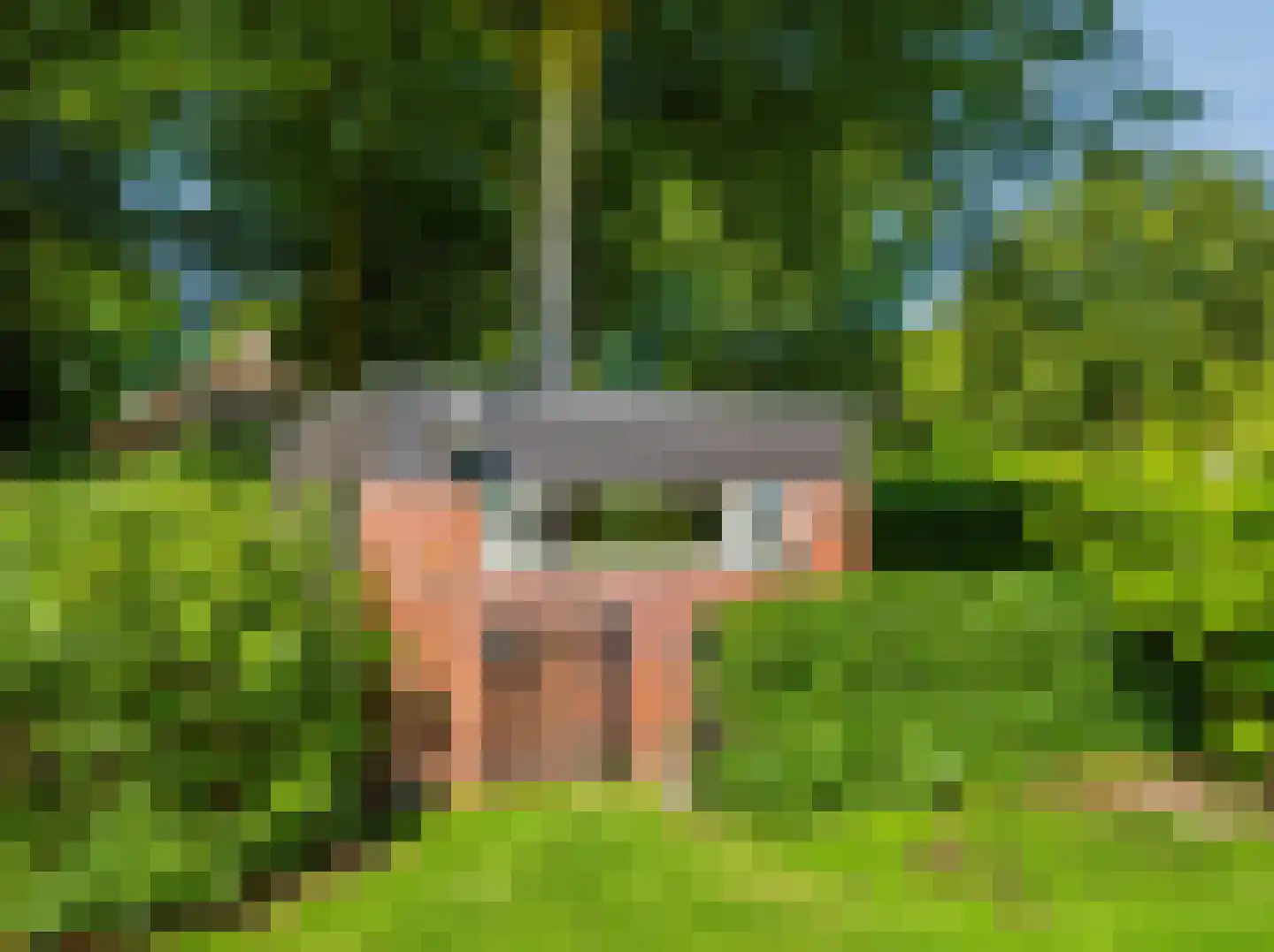 Meerwijklaan 1 Bergen (NH) thumbnail 50