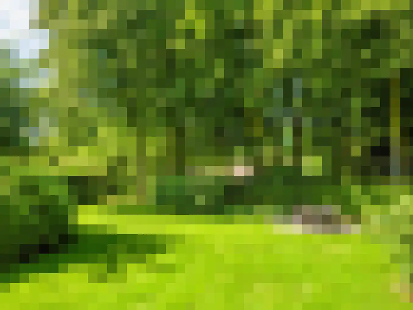 Meerwijklaan 1 Bergen (NH) thumbnail 53