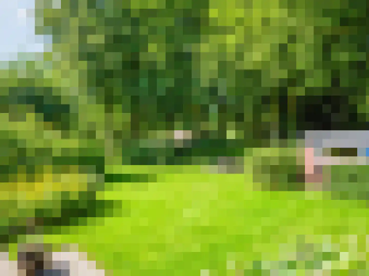 Meerwijklaan 1 Bergen (NH) thumbnail 55