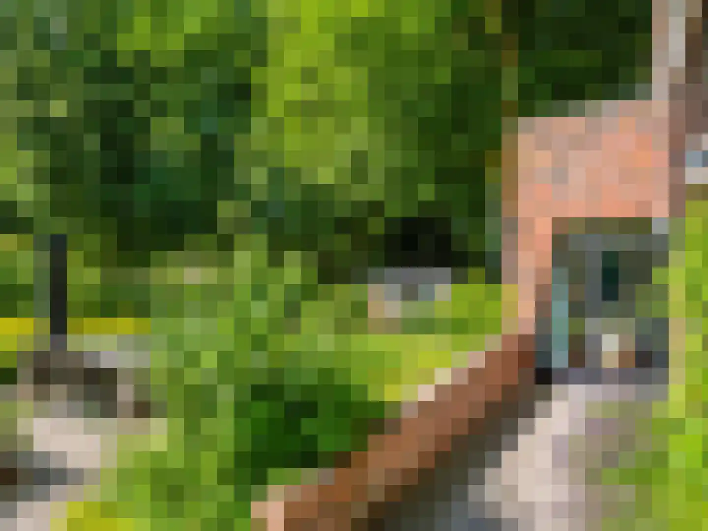 Meerwijklaan 1 Bergen (NH) thumbnail 59