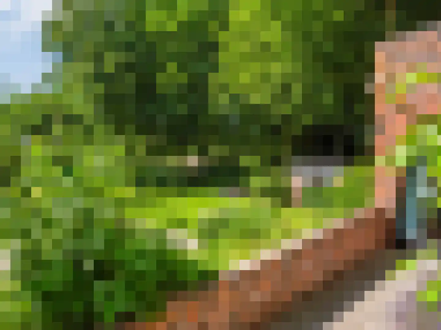 Meerwijklaan 1 Bergen (NH) thumbnail 6