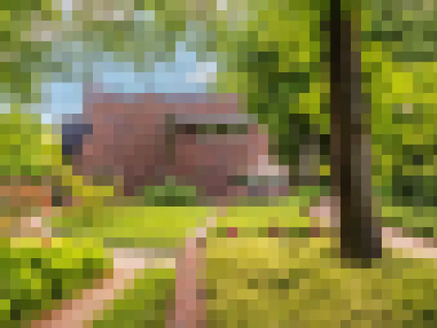 Meerwijklaan 1 Bergen (NH) thumbnail 60