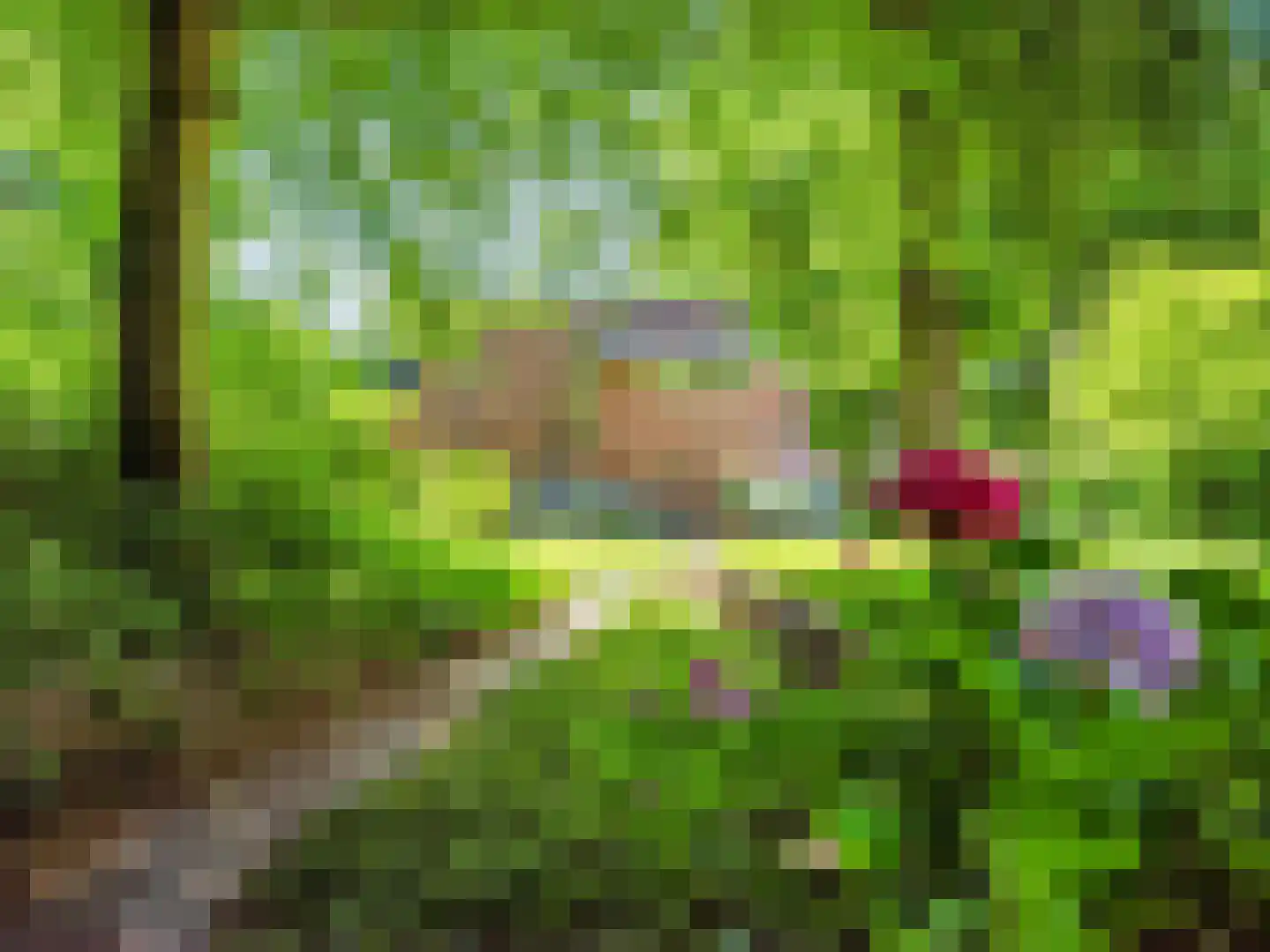 Meerwijklaan 1 Bergen (NH) thumbnail 61
