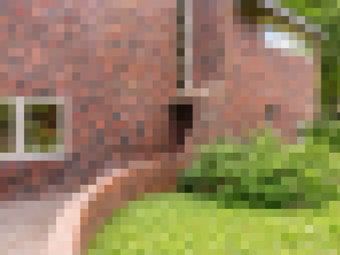 Meerwijklaan 1 Bergen (NH) thumbnail 62