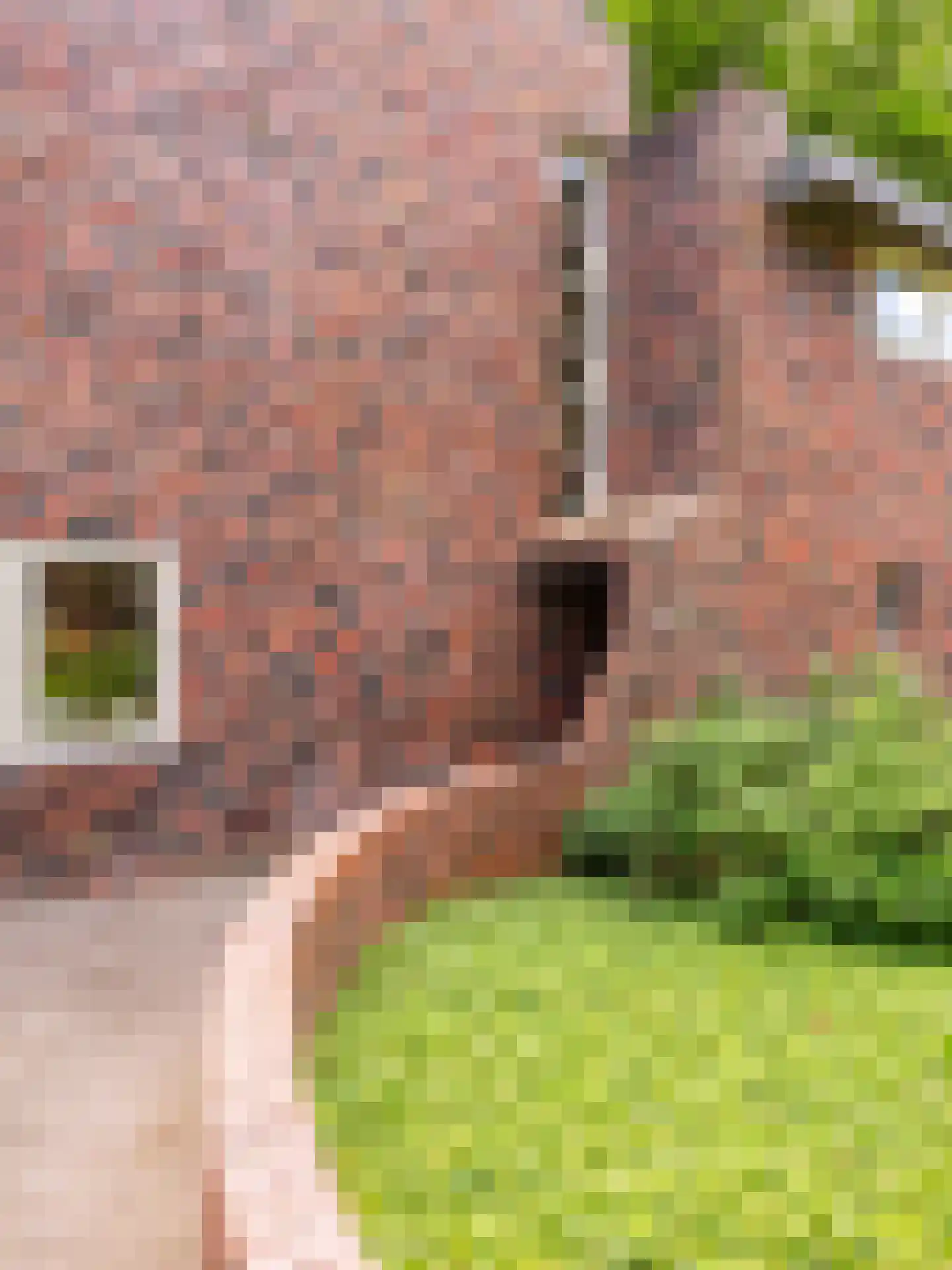 Meerwijklaan 1 Bergen (NH) thumbnail 63